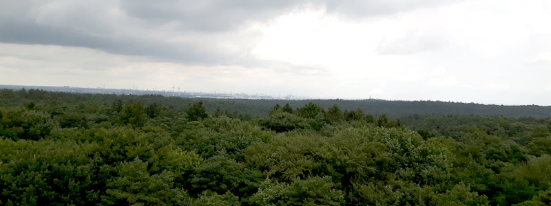 Wochenende in Bildern - Ausblick vom Elbblickturm