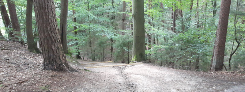 Wochenende in Bildern - Parkwege