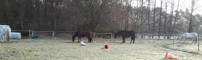 Wochenende in Bildern