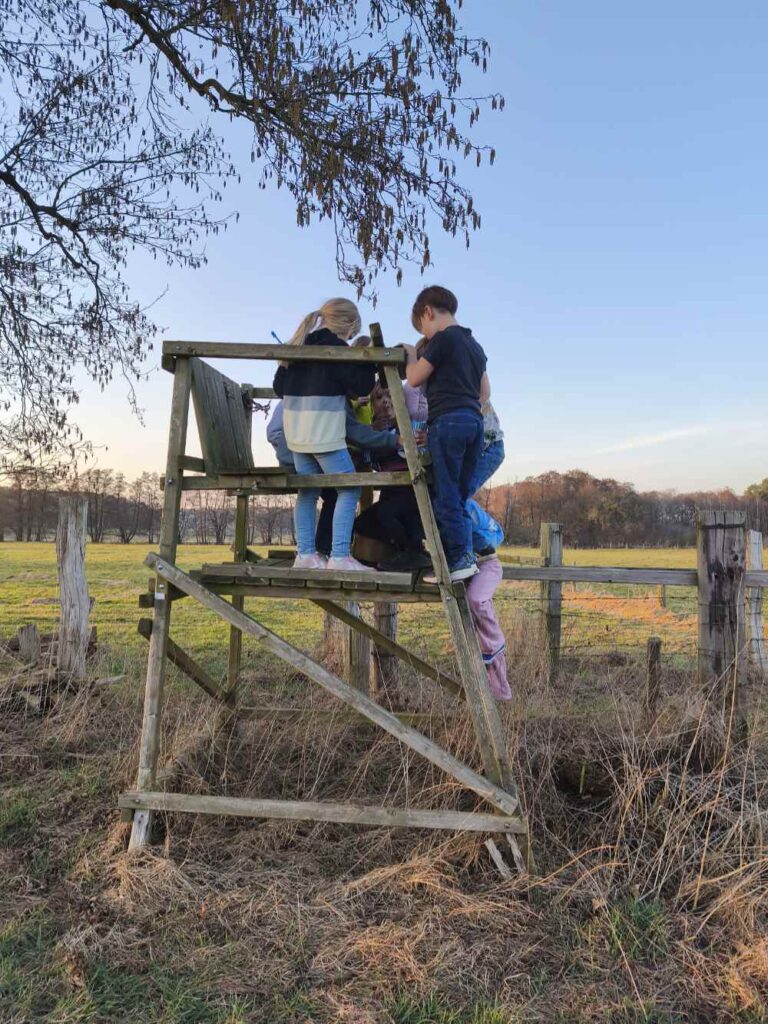 Der Schatz wurde gefunden